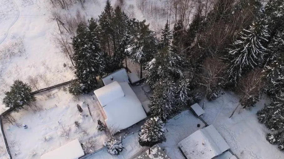 Комитет лесного хозяйства Московской области