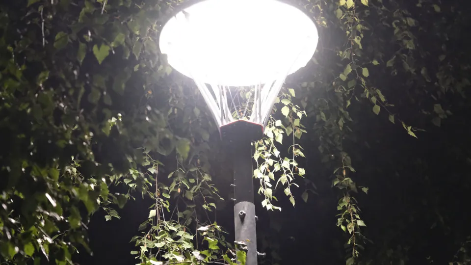 Фото: МедиаБанк Подмосковья/Мария Панина