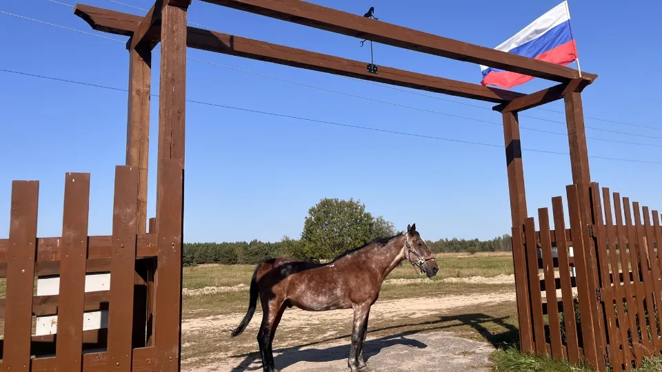 Фото: МедиаБанк Подмосковья/Ангелина Стельмух