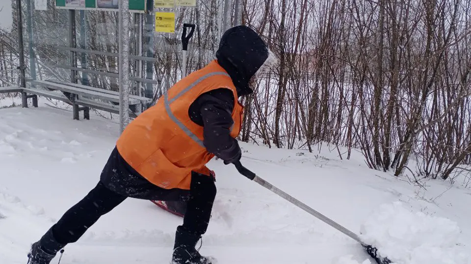 Фото: пресс-служба администрации г.о. Серпухов