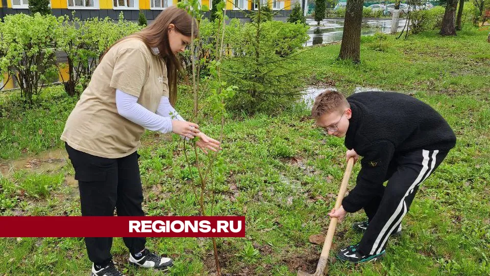 Фото: Елена Лабзина