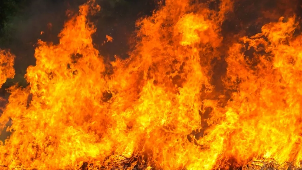 Фото: freepik.com