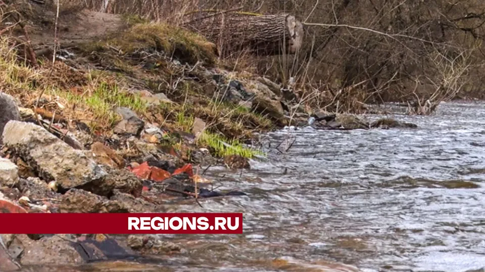 Фото: Данила Кирьянов