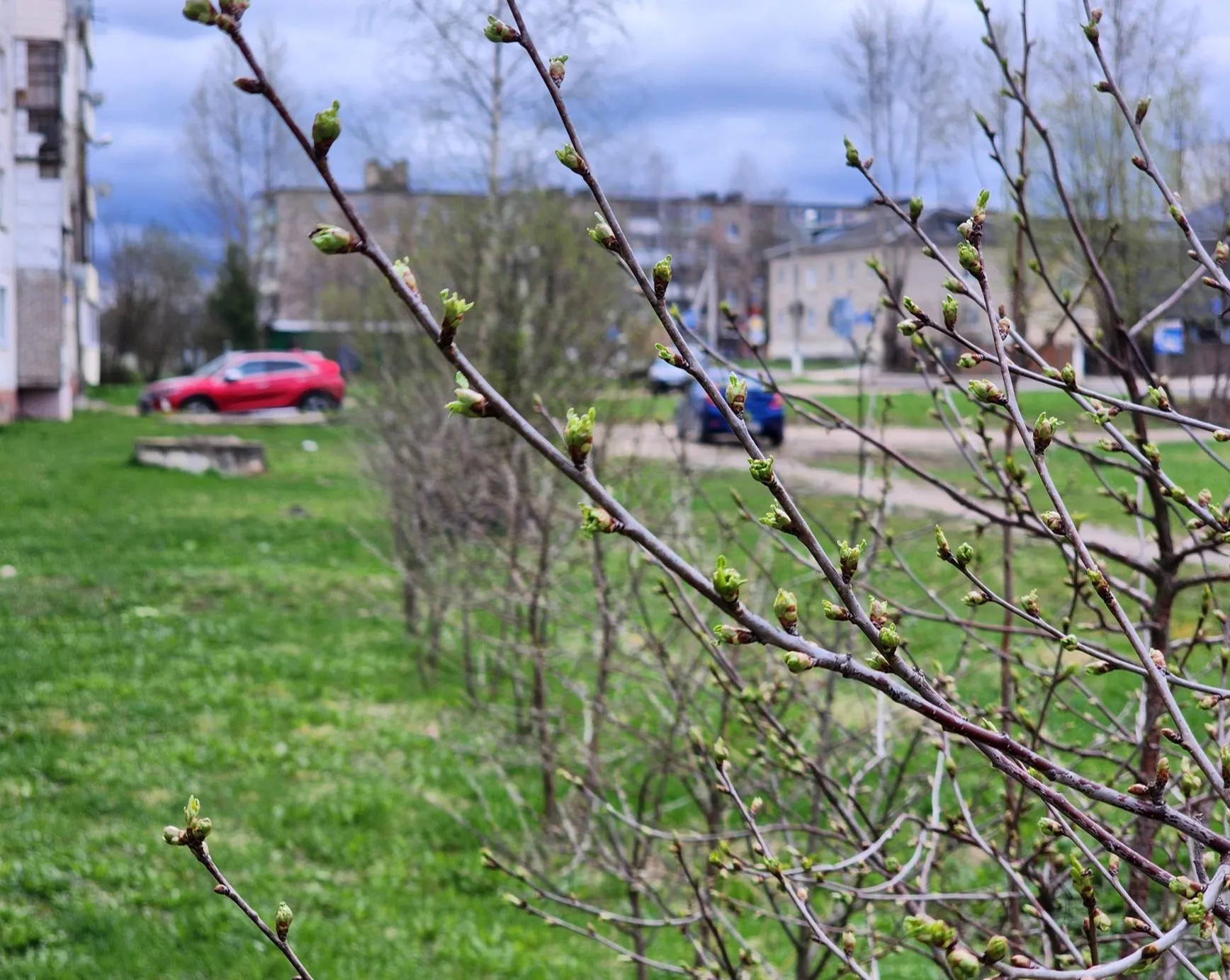 Фото: Екатерина Данилина