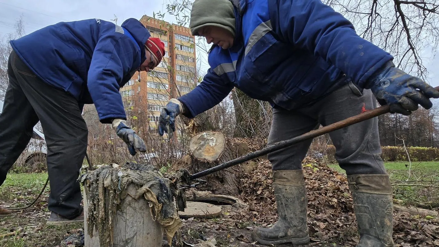 Фото: REGIONS/Марина Анисимова