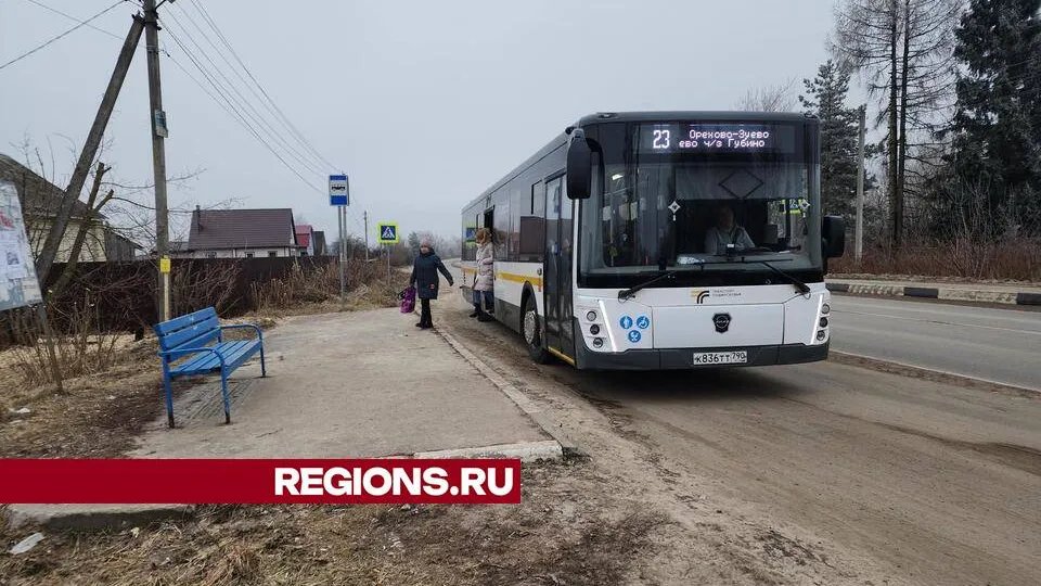 Фото: Ольга Сычева