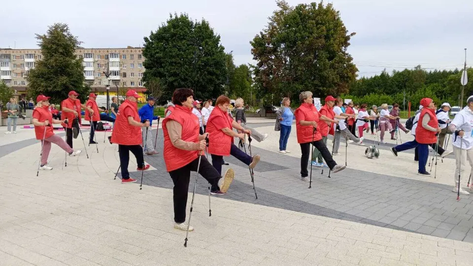 Фото: t.me/Dolgoletie_leninskiy