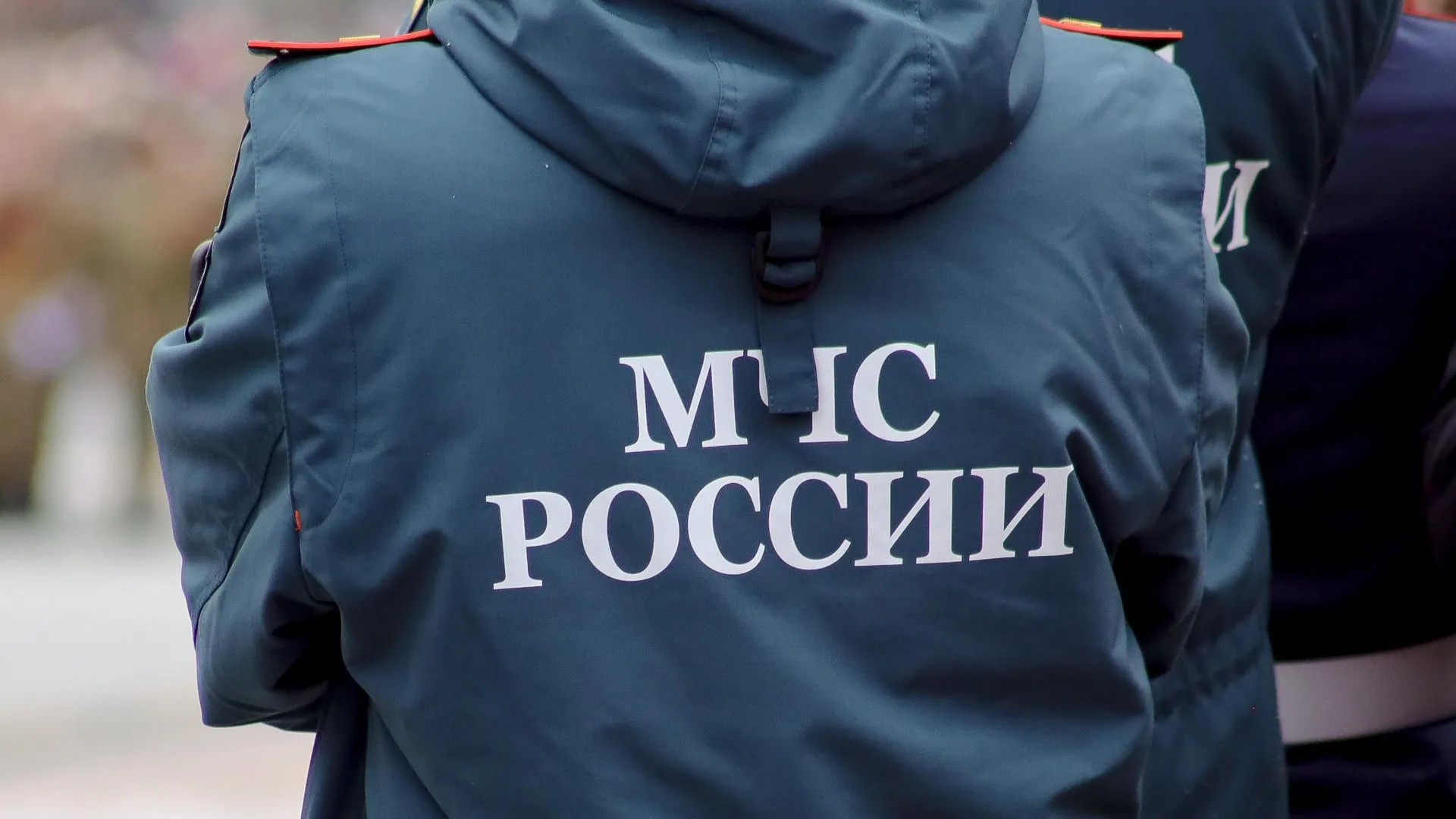 Elena Mayorova/Global Look Press