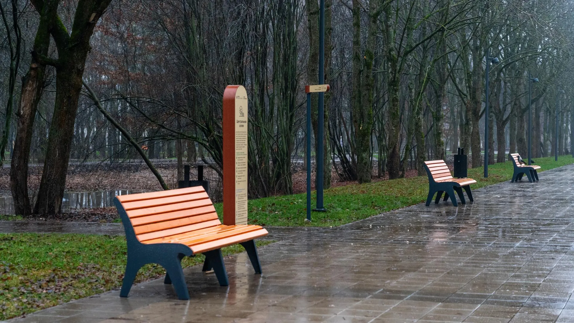 медиасток.рф