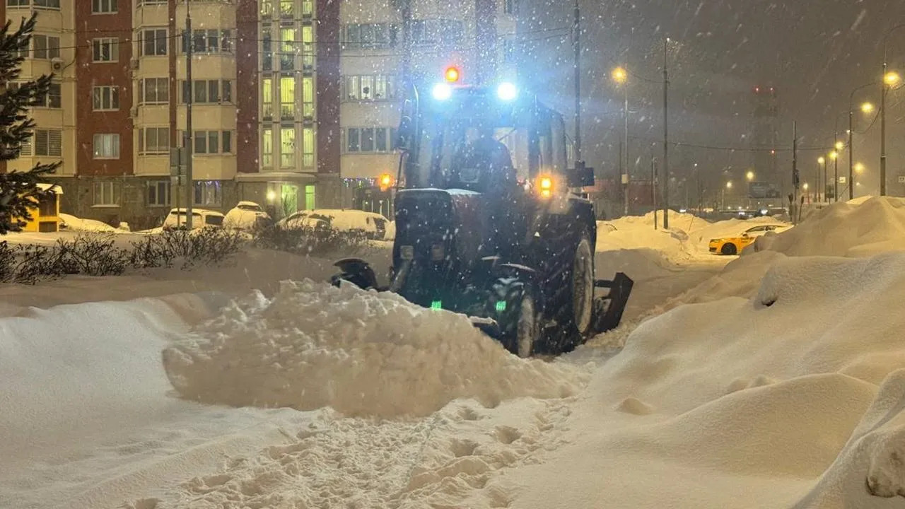 REGIONS/Полина Абраменко