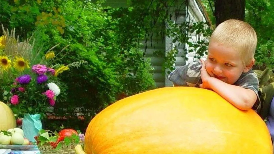 Фото: Музей-заповедник А.П. Чехова «Мелихово»