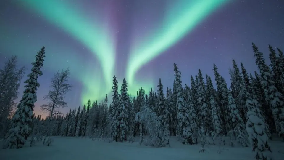 REGIONS/Сгенерировано нейросетью