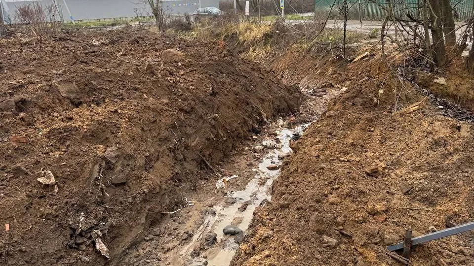 Фото: t.me/artsuvorov_live