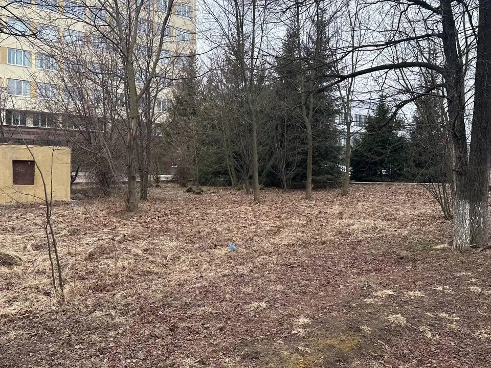 Фото: Эдуард Стратонов