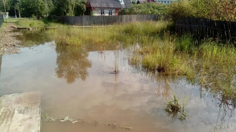 Бизнесмен незаконно осушил пожарный пруд в Андреевке