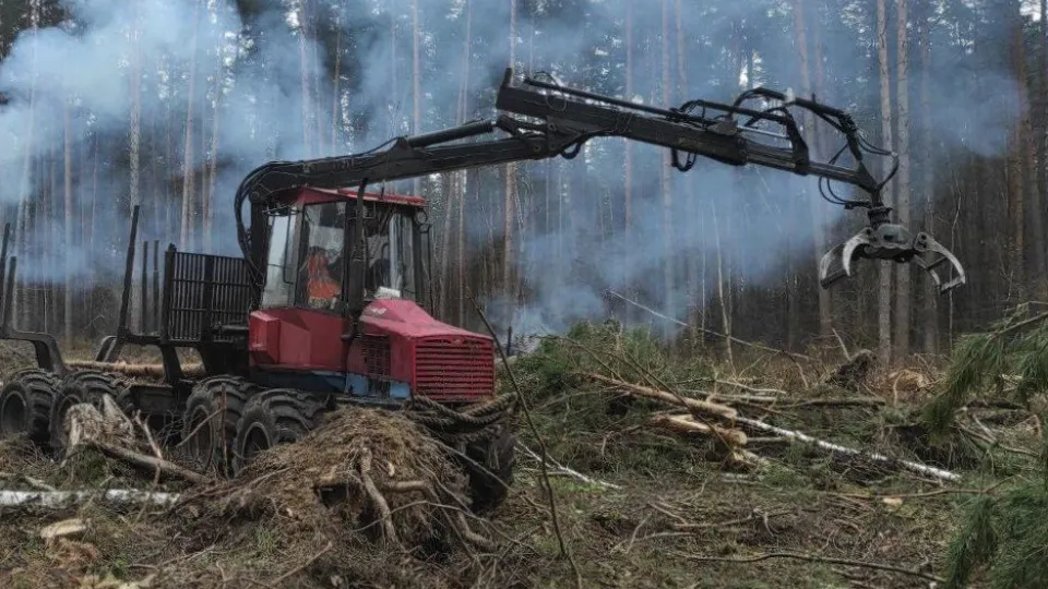 Фото: t.me/mosoblcomles