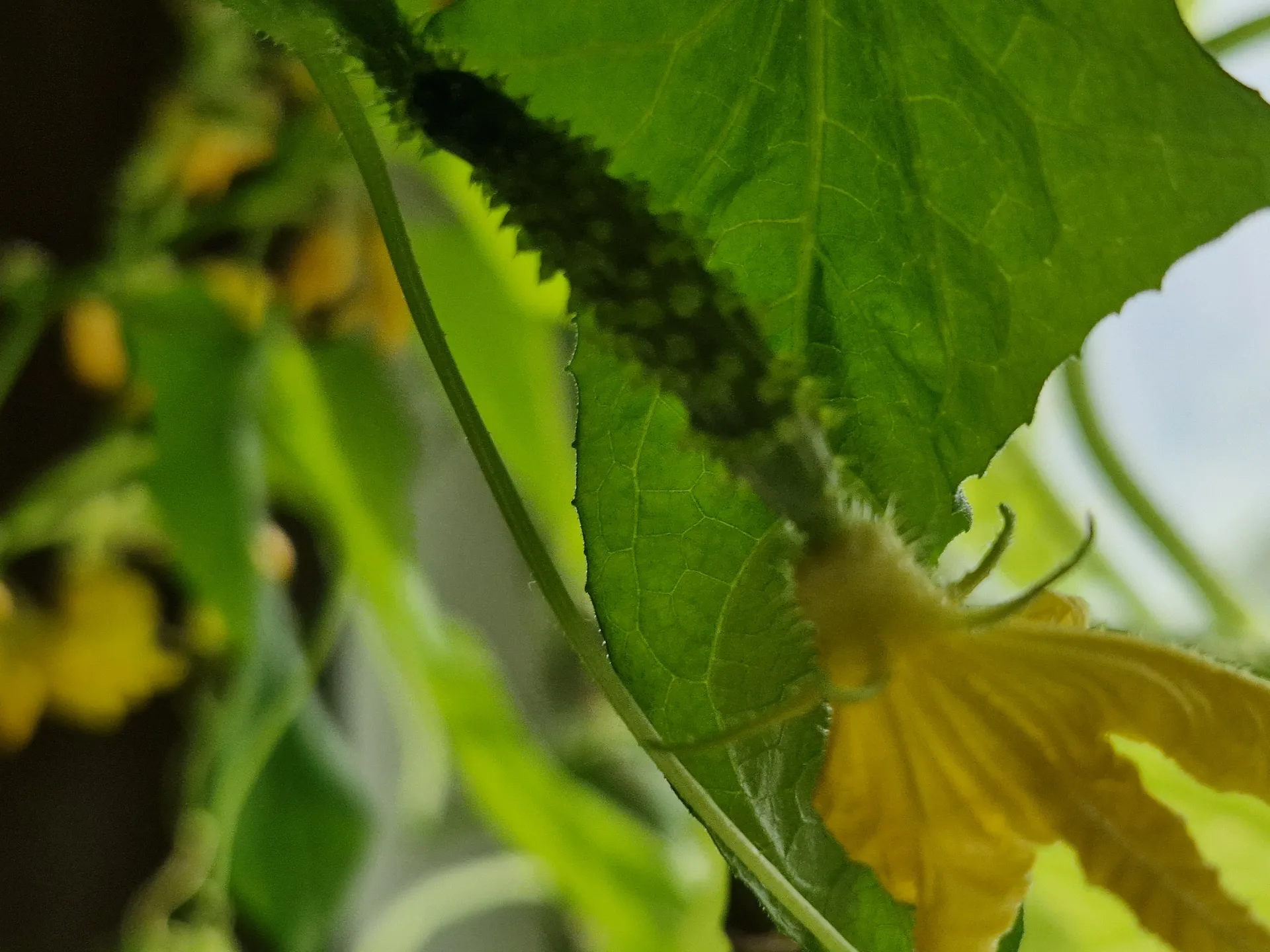 Фото: REGIONS/Наталия Надточая