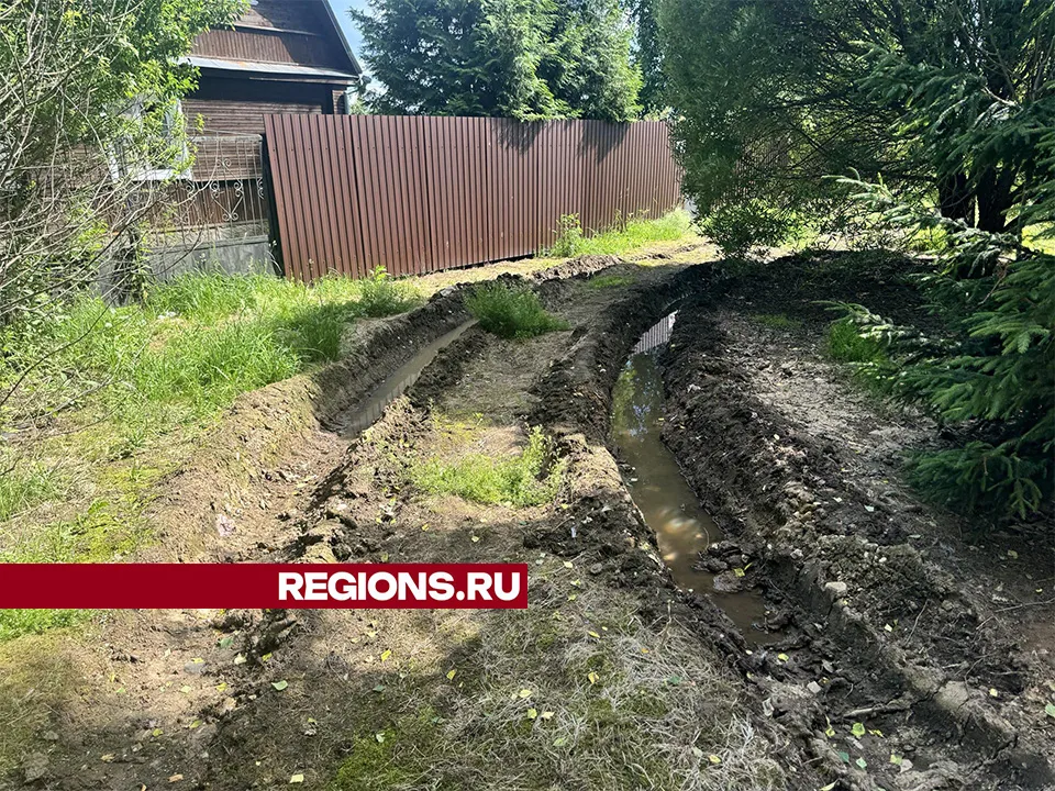 Фото: Татьяна Рунова