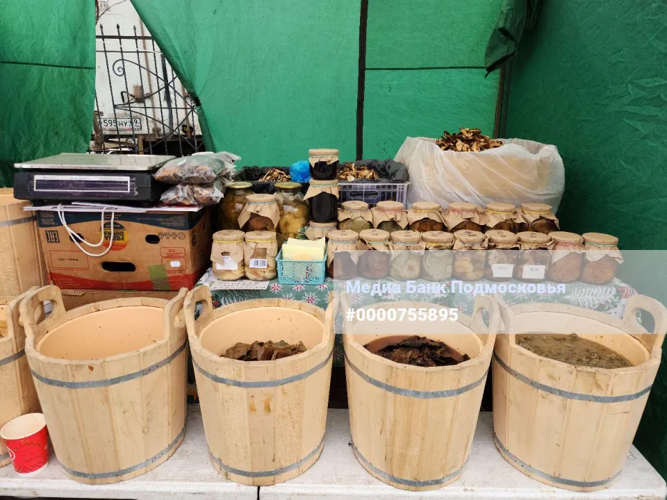 Фото: МедиаБанк Подмосковья/Хавива Фонина