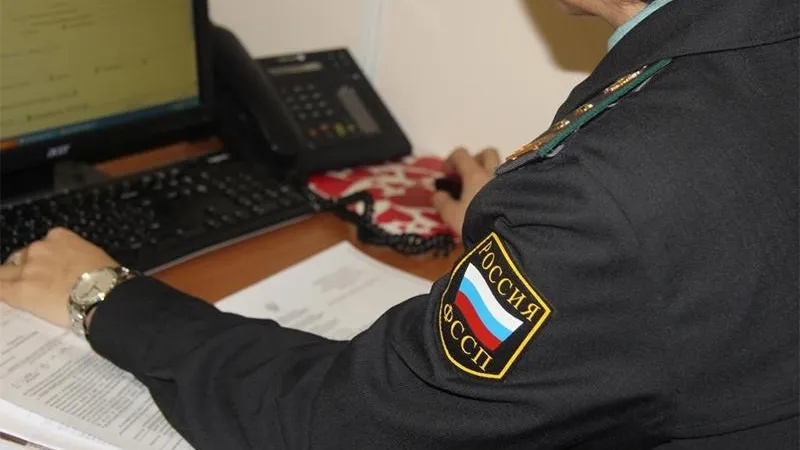 Подмосковные приставы рассказали подробности о возвращении ребенка матери