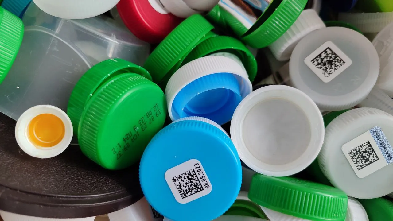 Фото: Дмитрий Кравцов