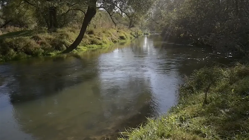 Фото: Щелковской телевидение