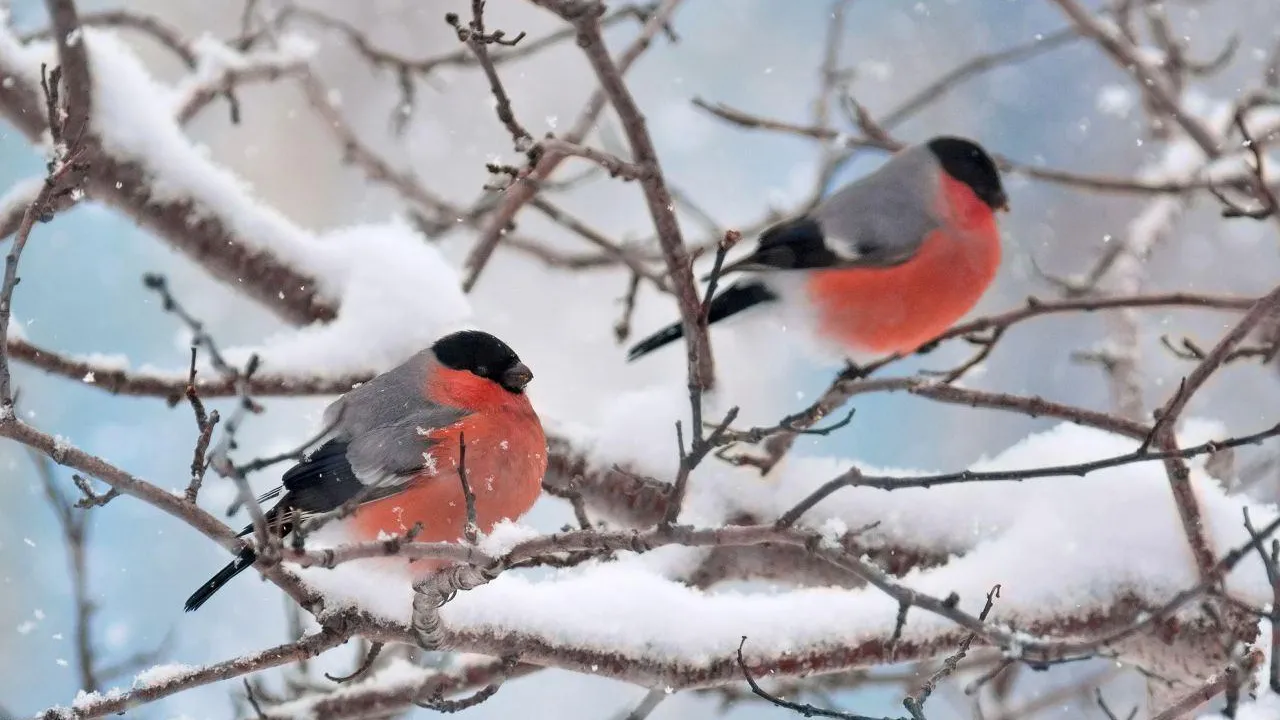 istockphoto.com/Sergey_Krasnoshchokov