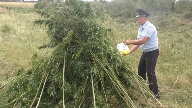 ГУ МВД по МО
