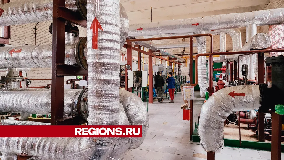 Фото: Юлия Андросова