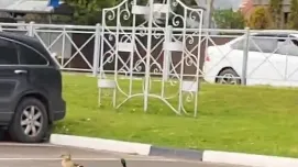 Фото: t.me/narofominsk