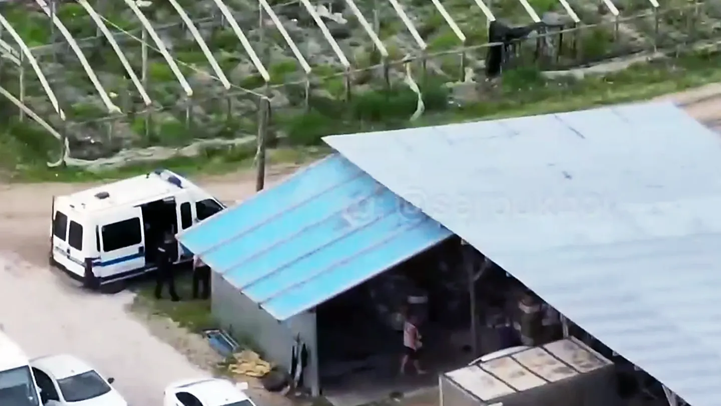 Фото: t.me/serpukhov