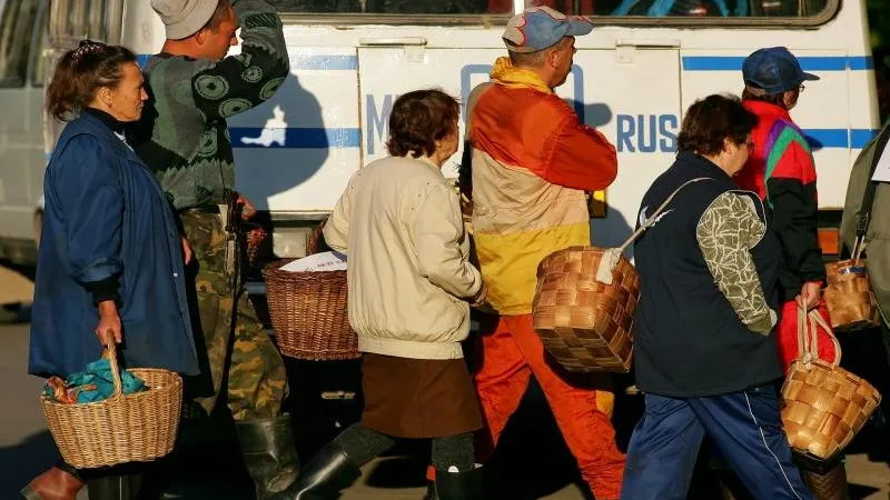 Грибов не оберешься: кто и зачем водит грибные экскурсии по Подмосковью