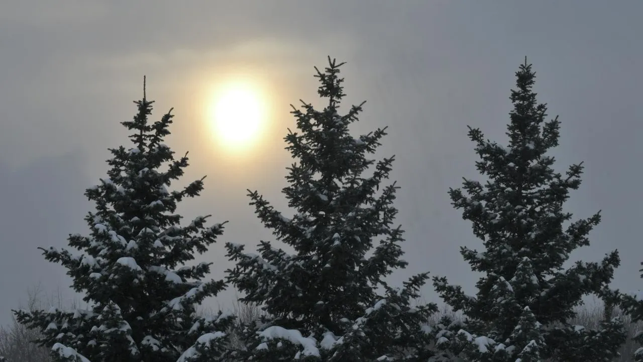 РИА Новости/Юрий Кочетков