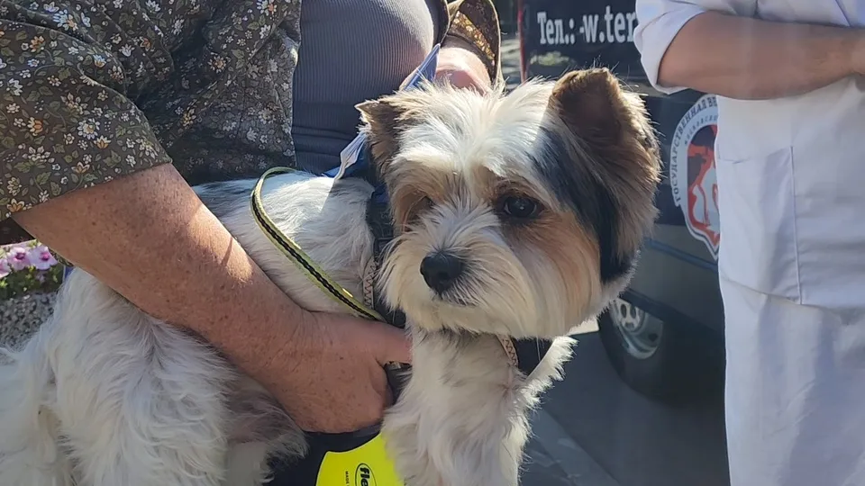 Фото: МедиаБанк Подмосковья/Андрей Семибратов