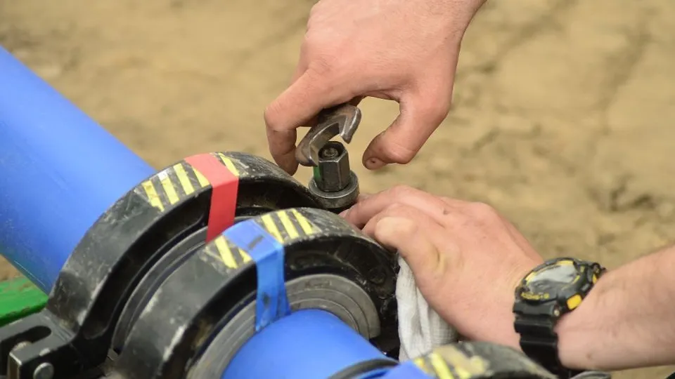 Фото: МедиаБанк Подмосковья/Анастасия Хренкова