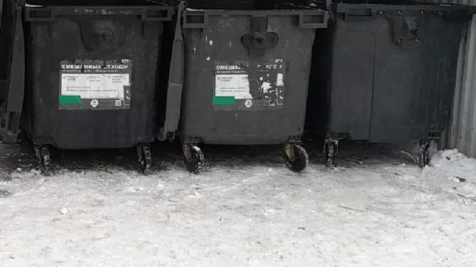 Фото: пресс-служба администрации г. о. Лосино-Петровский