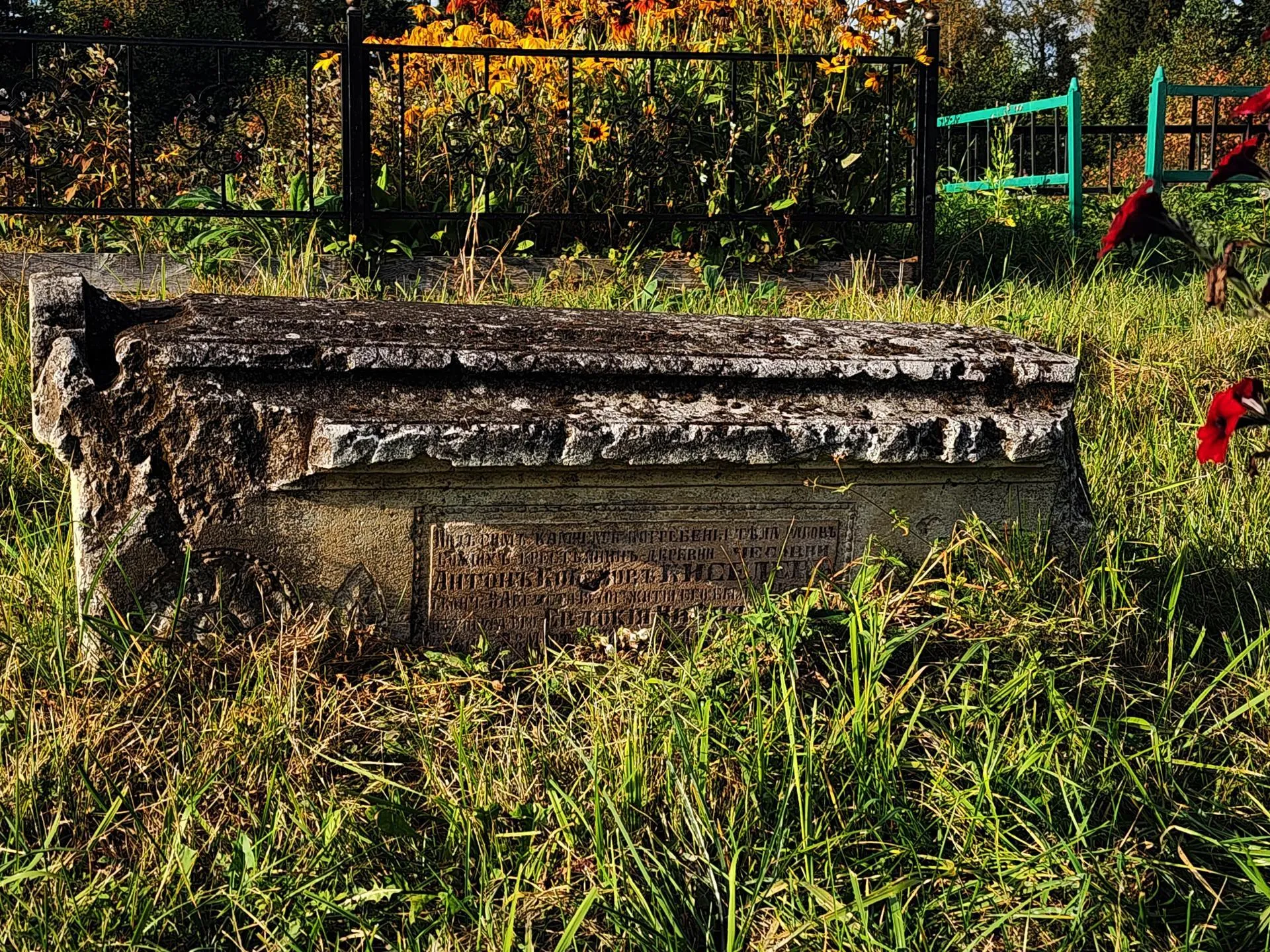 Алена Притула