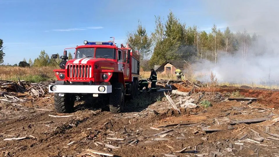 Фото: Комитет лесного хозяйства Московской области