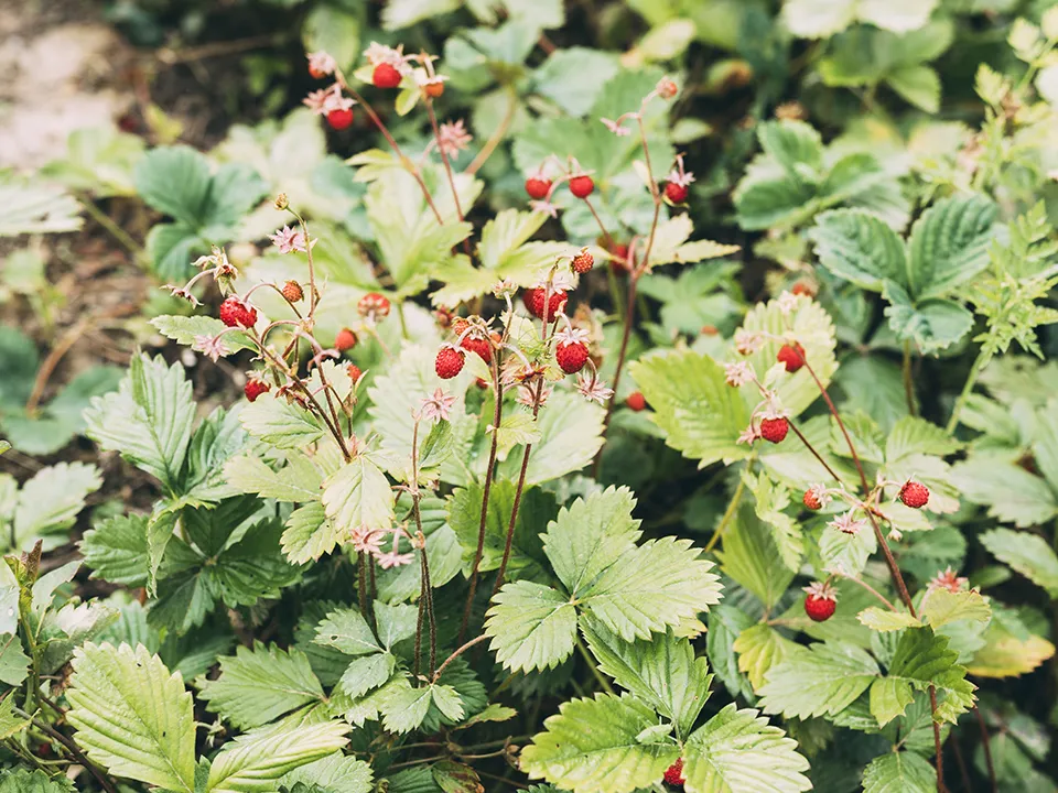 Фото: freepik.com