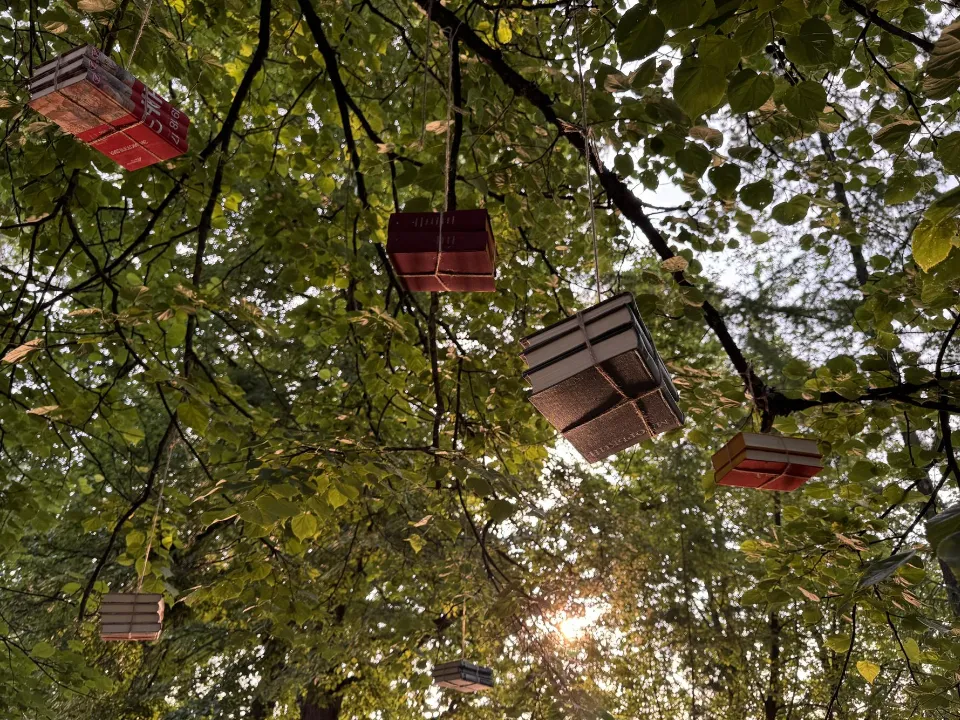 Фото: Мария Шматкова