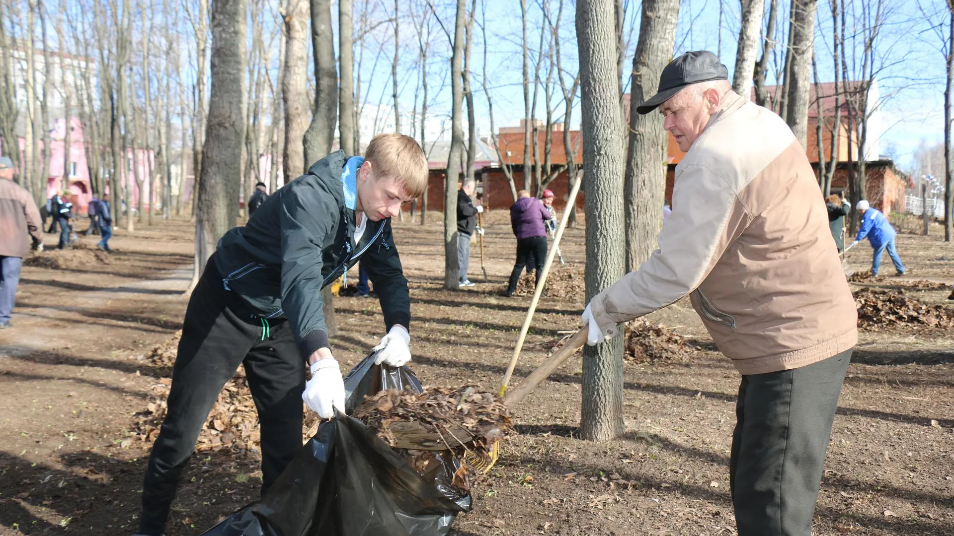 медиасток.рф