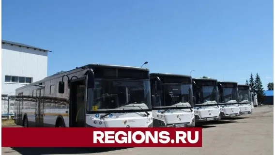 Фото: Василий Тремасов