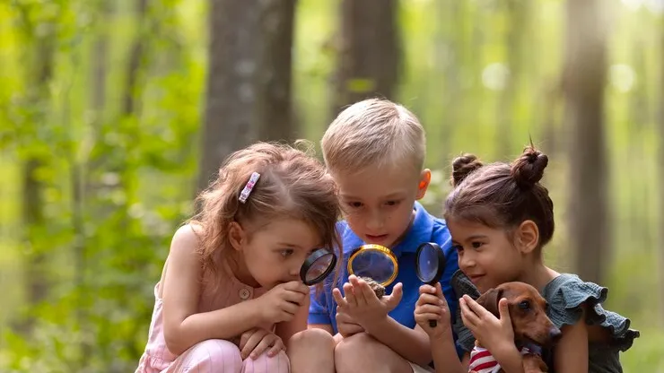 Фото: freepik.com