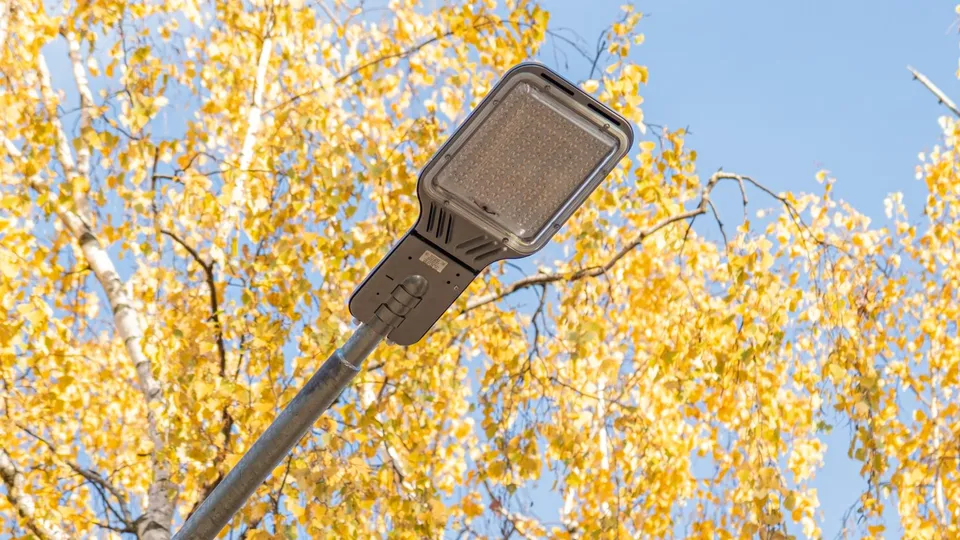 Фото: пресс-служба администрации г.о. Лыткарино