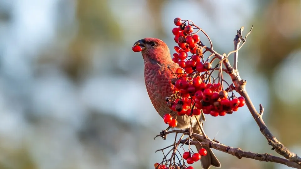Фото: freepik.com