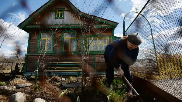 Пожарную безопасность СНТ на границе с лесом проверяют в регионе