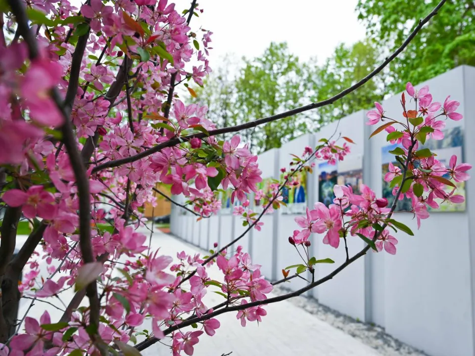 Фото: пресс-служба администрации Ленинского г.о.