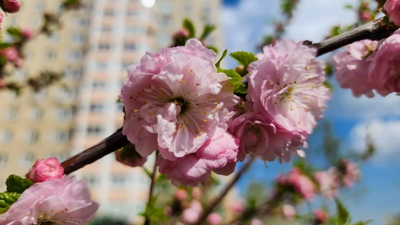 Медиабанк Подмосковья/Мария Андрюхина