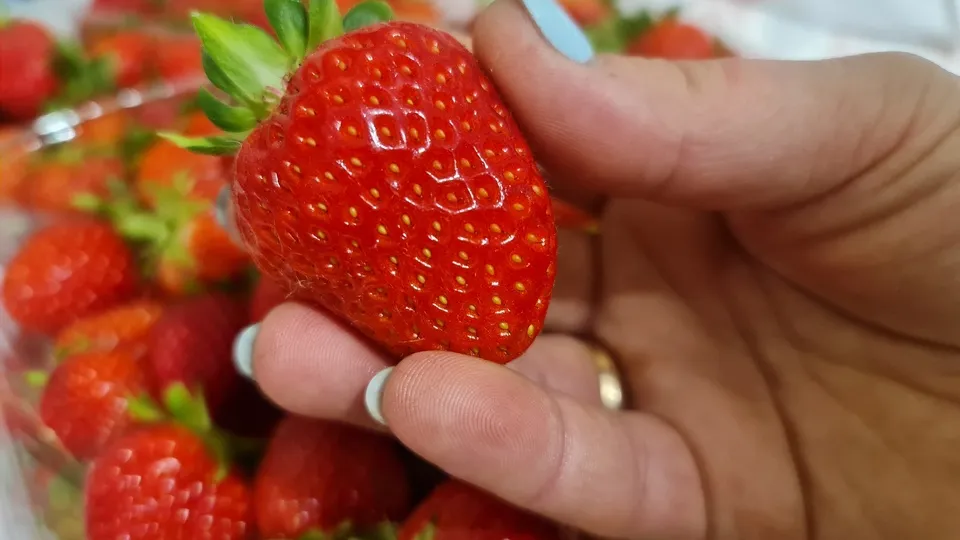 Фото: REGIONS/Александр Дрожжин