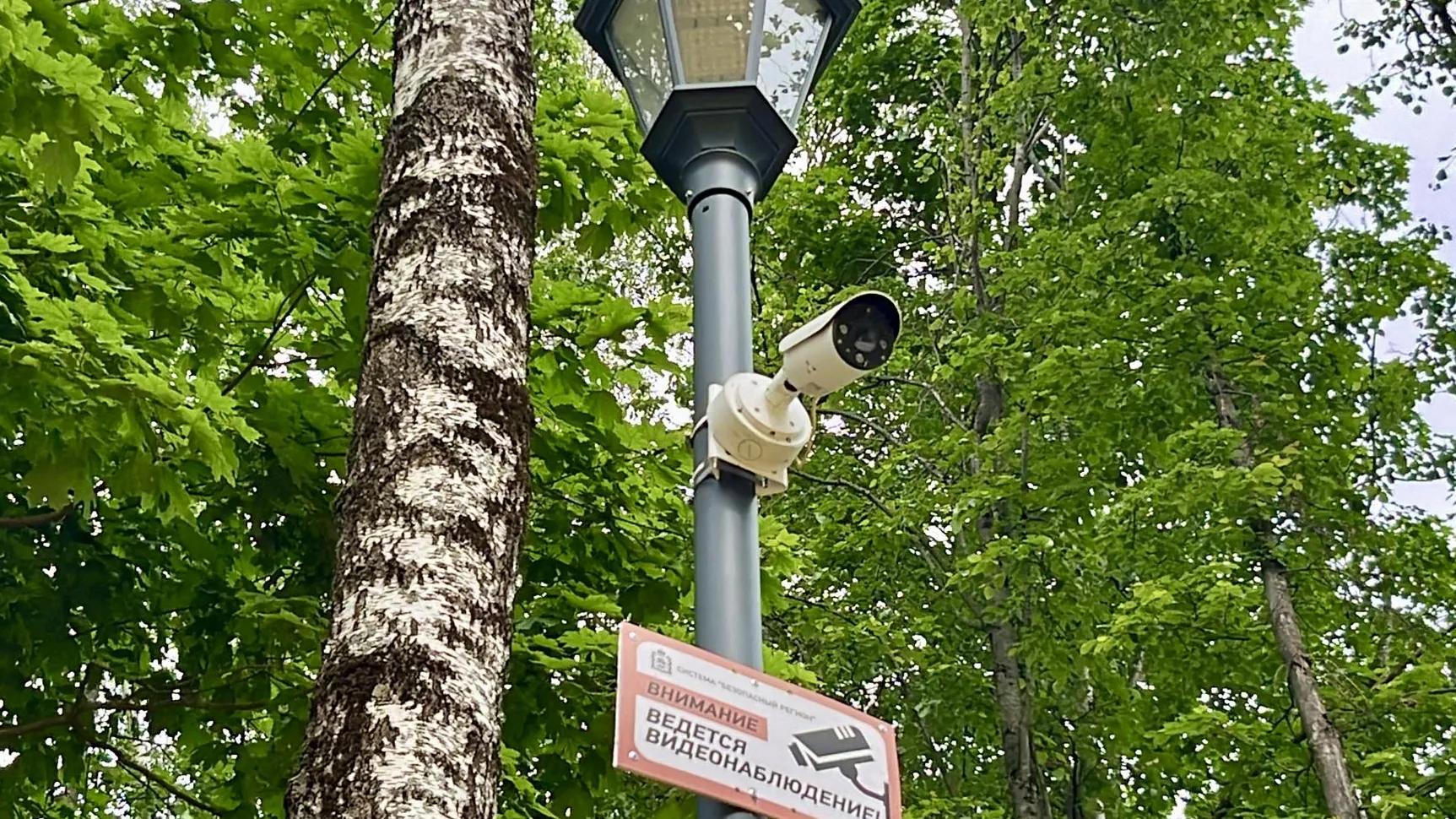 Фото: Анна Тюрюмина